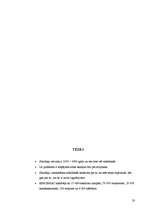 Referāts 'Elektronisko skaitļotāju attīstības vēsture', 19.