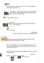 Konspekts 'Ēģipte', 1.