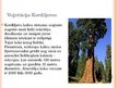 Prezentācija 'Augstumjoslojuma apgabali', 7.