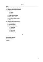 Referāts 'Finanšu pārskati un to analīze', 2.