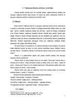 Referāts 'Finanšu pārskati un to analīze', 7.