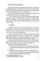 Referāts 'Finanšu pārskati un to analīze', 12.