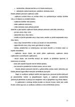 Referāts 'Finanšu pārskati un to analīze', 13.