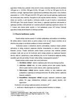 Referāts 'Finanšu pārskati un to analīze', 17.