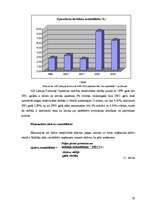 Referāts 'Finanšu pārskati un to analīze', 20.