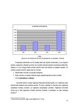 Referāts 'Finanšu pārskati un to analīze', 23.