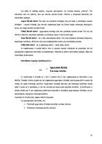 Referāts 'Finanšu pārskati un to analīze', 24.