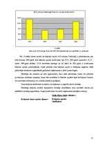 Referāts 'Finanšu pārskati un to analīze', 31.