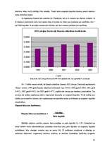 Referāts 'Finanšu pārskati un to analīze', 35.