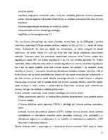 Biznesa plāns 'Biznesa plāns tūrisma aģentūrai Liepājā', 17.