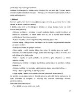 Biznesa plāns 'Biznesa plāns tūrisma aģentūrai Liepājā', 19.