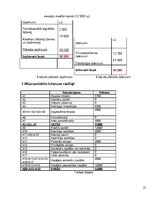 Biznesa plāns 'Biznesa plāns tūrisma aģentūrai Liepājā', 27.