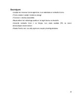 Biznesa plāns 'Biznesa plāns tūrisma aģentūrai Liepājā', 31.