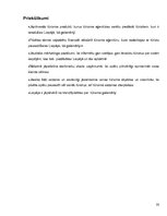 Biznesa plāns 'Biznesa plāns tūrisma aģentūrai Liepājā', 32.