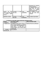 Konspekts 'Procesuālie piespiedu līdzekļi un sankcijas', 5.