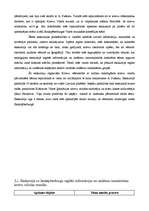 Referāts 'Mācību ekskursijā iegūtās informācijas izmantošanas iespējas', 9.