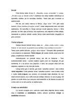 Eseja 'R.Rortijs "Privātā ironija un liberālā cerība"', 1.