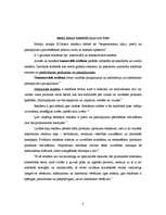 Referāts 'Reklāmas diskursa analīze', 3.