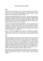 Eseja 'Totalitārisms Vācijā un PSRS', 1.