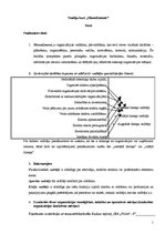 Konspekts 'Eksāmena darbs studiju kursā "Menedžments"', 1.