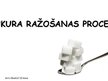 Prezentācija 'Cukura ražošanas process', 1.