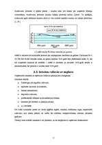 Referāts 'Finanšu vadība', 11.