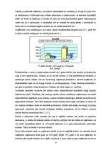 Referāts 'Finanšu vadība', 13.