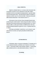 Referāts 'Animācija', 6.