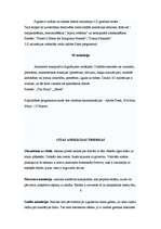 Referāts 'Animācija', 7.