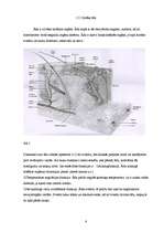 Referāts 'Solārijs un tā ietekme uz cilvēka veselību', 6.