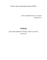 Referāts 'Mediācija', 1.