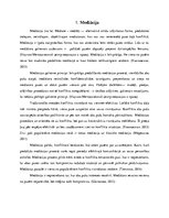 Referāts 'Mediācija', 3.