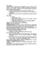 Konspekts 'Nervu sistēma', 1.