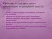 Prezentācija 'VID uzbūve, uzdevumi, mērķi', 14.
