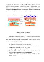 Referāts 'Kinezioloģiskais teips muguras sāpēm grūtniecības laikā', 4.