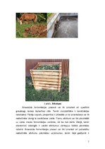 Referāts 'Biodegviela', 7.