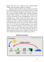 Referāts 'Biodegviela', 10.