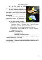 Referāts 'Sērs', 6.