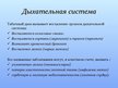 Prezentācija 'Влияние курения на системы органов человека', 4.
