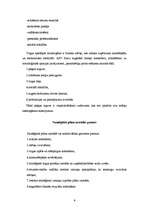 Konspekts 'Stratēģiskā plānošana', 4.