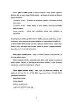 Konspekts 'Stratēģiskā plānošana', 5.