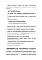 Konspekts 'Stratēģiskā plānošana', 6.