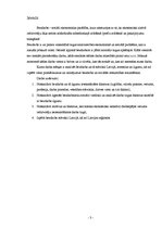 Referāts 'Bezdarbs', 3.