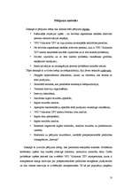 Referāts 'Postpenitenciārās palīdzības sniegšana', 13.