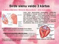 Prezentācija 'Sirds uzbūve', 6.
