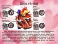 Prezentācija 'Sirds uzbūve', 9.