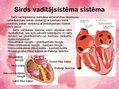 Prezentācija 'Sirds uzbūve', 10.