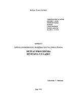 Referāts 'Muitas procedūra - ievešana uz laiku', 1.