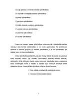 Referāts 'Apdrošināšanas tirgus', 5.