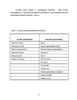 Referāts 'Apdrošināšanas tirgus', 13.